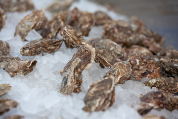 Cucina D'Ogliastra, Sardegna Pistoccu Friggiu 