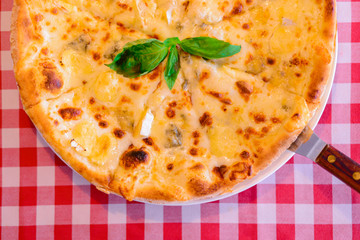Pizza quattro fromaggi on a white plate. Cheese pizza. Margarita pizza over red plaid tablecloth.