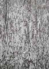 old wood texture