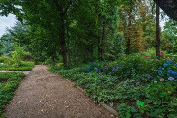 Wroclaw, Poland August 5, 2020; The Botanical Garden of the University of Wrocław.