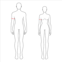 Women and men to do biceps measurement fashion Illustration for size chart. 7.5 head size girl and boy for site or online shop. Human body infographic template for clothes. 