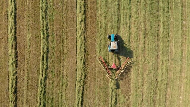 Static view from above of a tractor with a rake raking dry mown hay in a quiet calm evening. The farmer prepares feed in season. The concept of agribusiness