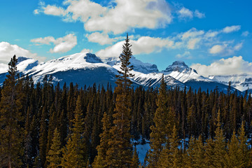 Icefields Parkway leading to Columbia Icefield in Canadian Rocky Mountains between Banff and Jasper...