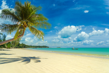Amazing tropical beach landscape