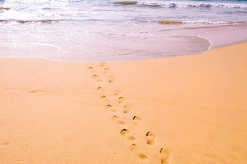 Human footprints leading away from the viewer into the sea. Empty beach, tourism concept, travelling.