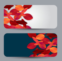 Autumn leaves background gift card or voucher set. Fall banner template. Red and orange foliage. Thanksgiving season holiday concept. Realistic 3d vector illustration.