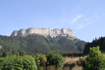 Fototapeta premium The Chartreuse mountain