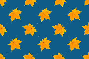 Autumn seamless pattern. Yellow maple leaves on dark blue background