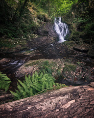 waterfall in the woods