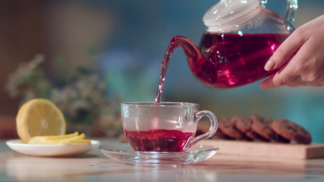 Woman's hand pouring tea from a transparent glass jug into a transparent cup of karkade tea with hibiscus flower. Breakfast concept. Lemon slices. Tea time.