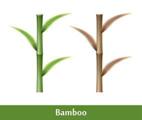 Bamboo Icon Stems