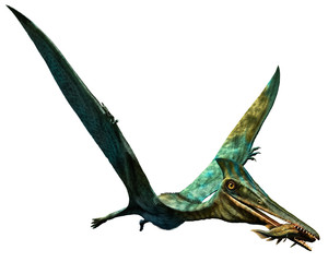 Pterodactylus prehistoric dinosaur 3D illustration