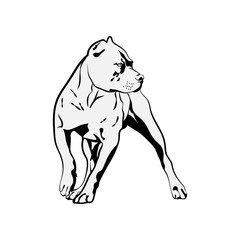 American Pit Bull Svg, Terrier Svg Files For Cricut, Dog Dxf Cut File, Puppy Vector, Eps, Png, Ipg, Friend, Pet, Picture Pitbull