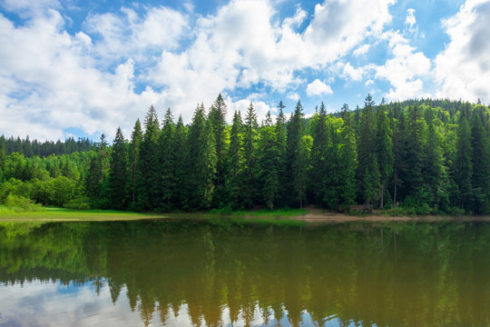 scenery around the lake in mountains. spruce forest on the shore. reflection in the water. sunny weather with clouds on the blue sky