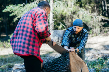 Two brutal bearded foresters