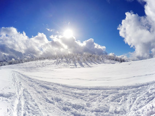 Winter alpine landscape with trees cover by snow and blue sky.