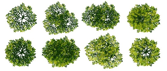 set of watercolor tree top view for landscape plan and architecture layout
