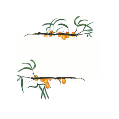 Horizontal frame of Sea buckthorn or hippophae isolated on white background. Watercolor hand drawn illustration with orange berry. Perfect for organic healthy food design.