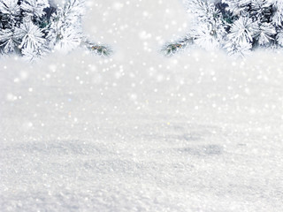 winter christmas background with snow and fir branches frame