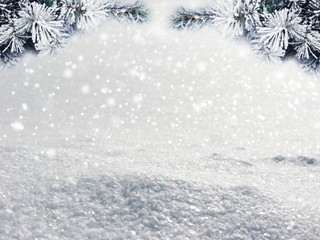 Fototapeta na wymiar winter christmas background with snow and fir branches frame