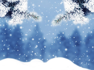 Naklejka na ściany i meble winter christmas background with snow and fir branches frame