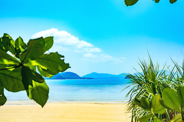 Fototapeta na wymiar Summer landscape with empty tropical beach through palms leaf