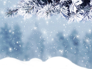 winter christmas background with snow and fir branches frame