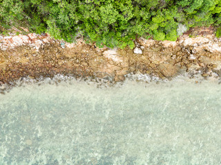 Bird's eye view, rocky palm tree coast and clear blue water sea.