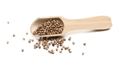 Coriander seeds pile with wooden spoon isolated on white background