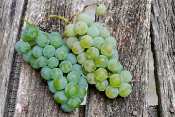 Bunch with fresh ripe white grapes, ready to eat, Zavet, Bulgaria   