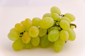 Bunch with fresh ripe white grapes, ready to eat, Zavet, Bulgaria   