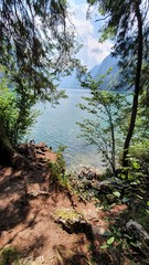 Lake in the forest - Königssee - Germany - Bavaria - Bayern