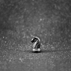 black chess knight horse on the black bokeh background. photo © Sunny