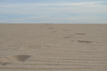 footprint in sand