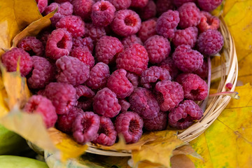 Ripe raspberries in a basket on the table.