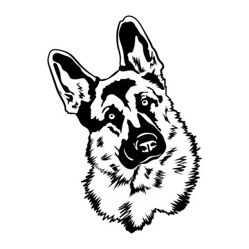 German Shepherd Svg, Dog Svg Files For Cricut
