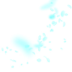 Turquoise flower petals falling down. Graceful rom