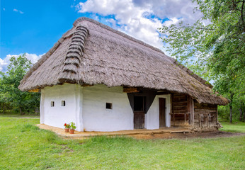 Fototapeta na wymiar Traditional thatched-roofed rural house .