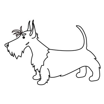 recommend clip art: Scottish terrier in the vector. Funny dog. Illustration of white Scottish terrier . Line drawing of red scottish terrier
