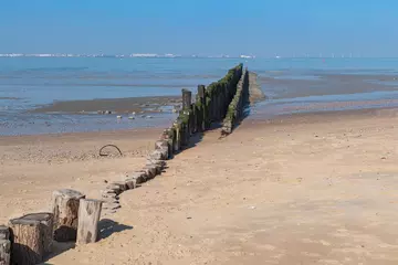 Foto auf Acrylglas Nordsee, Niederlande Wellenbrecher aus Holzpfählen an der Nordsee bei Ebbe.