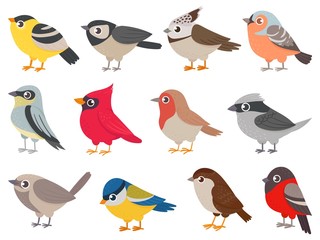 Cute birds. Hand drawn little colorful birds, animals characters for print card, garden decoration. Elements for childish poster vector set. Bird nature drawing, fauna animal natural zoo illustration