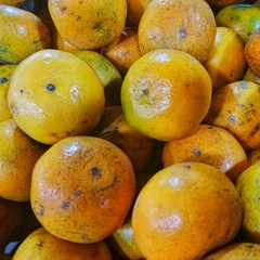 oranges in a market
