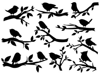 Bird and twig silhouettes. Cute birds and on branch, romantic spring image, black sparrows on tree, garden decor retro art, vector set. Illustration silhouette twig tree and bird on branch