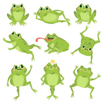 Cute frogs. Green funny frogs in various poses, happy animals group. Smiling active toads, zoo carnivore cartoon vector characters. Cartoon amphibian happy, animal princess toad illustration