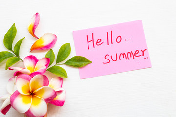 hello summer message card handwriting with colorful flowers frangipani arrangement flat lay style on background white
