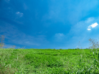 夏の青空と野原。8月。