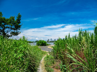 夏の青空広がる埼玉県川口市の風景。荒川河川敷。