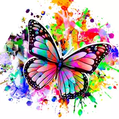 Fototapeten colorful butterfly on black background © reznik_val