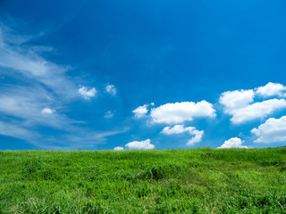 夏の青空と野原。8月。