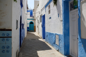 Fototapeta na wymiar landscapes of Morocco 
